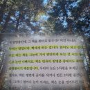 대지환경자원 | 최재천의 공부 책 | 최재천 안희경 책 후기 | 독서로 거인의 어깨를 정복하는 시간 추천 리뷰 핵심 요약
