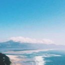 연탄춤추는돼지 이미지