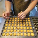 지센 | 대전타고야끼 먹으러 다녀온 지센 법동점 연어초밥까지 만족 후기