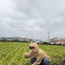 우진농수산물 | 제주도 25.03.01~03.04 🥂#2