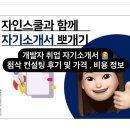 개발자 취업 자기소개서 첨삭 컨설팅 후기 및 가격 , 비용 정보