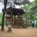 대불공원 좌측 이미지