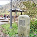 섬진강자전거길2 이미지