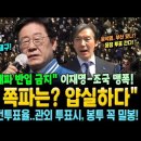 선관위 대파 반입 금지에 이재명-조국 맹폭 이미지