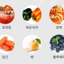 참조은과일，야채
