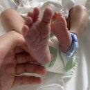 모태산후조리원 이미지