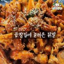 충북 괴산 읍내 식당 신곱창 닭발 맛집