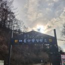 대전 인근 근교 아이데리고 눈썰매장 겨울축제 놀거리 많은 대둔산캠핑랜드