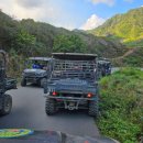 글로벌투어(주) | 하와이 쿠알로아랜치 UTV 투어 후기 🚙 오아후 필수 액티비티 완벽 가이드