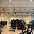 트라이짐 이미지