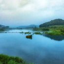 곡성-246 이미지