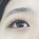 블랙스완래쉬 이미지