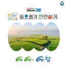 티 & 청 음료베리에이션 이미지