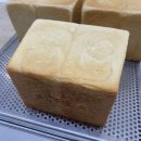 제빵기능사반 이미지