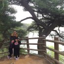 상주 경천대 오토캠핑장 이미지