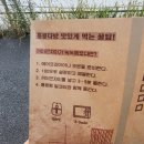홍콩다방효자