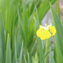 가림산둘레길 이미지