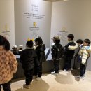 🏛️ 대전시립박물관에 다녀왔어요~ 🌳 이미지