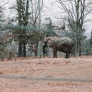 로얄골프클럽 이미지