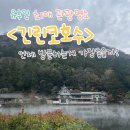 물안개피는마을 | 여행 유후인 가볼만한 곳 나의 유후인 최애 관광명소 <긴린코호수> 물안개 보려고 아침 6시에 일어났습니다