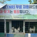 제주 유기견 봉사 행복이네 자원봉사 후기