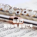 가락장구교실 | [플룻(플루트) 교실] 짐머만의 음악 능력 발달 단계 중에 대해 알아 보아요~