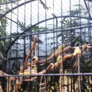 남국목장 이미지