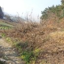 김순자농장 이미지