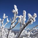 한 겨울의 남덕유산 산행기(영각사~남덕유산 정상~월성치~황점) 이미지
