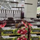 삼성카드(주) | 1월 마지막주~2월 첫주 이마트 트레이더스 신세계포인트 할인 삼성카드 할인 식품 쇼핑 후기 추천템...