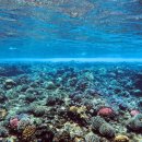 투어이스트 이미지