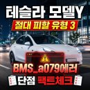 테슬라 모델Y, 절대 피할 유형3 - 단점 팩트체크, BMS_a079에러