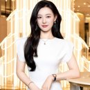 AVEC(아베크)