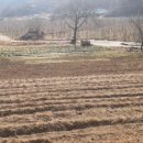 봉화공인중개사사무소 이미지