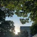 UR(의정부시)-[부용로]-하-10 | 밍숭맹숭한 여름글 ~.. 🍀🍏🧃