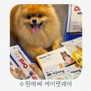 세화사료 | 수원메쎄 케이펫페어 페노비스 박람회 방문 후기