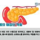 삼성더건강내과의원 이미지
