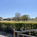 554 | 소고기가 진짜 맛있는 경주 터미널 근처 맛집 옥포554