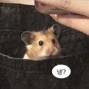 청담자동차운전전문학원