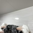 씨팝케어 이미지