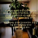 이레피아노교습소 이미지
