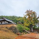 10/22 안동선비순례길 2코스 도산서원길 이미지