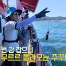 안면도바닷가웨이브펜션 이미지