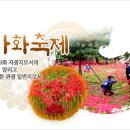 우리왕성교회앞 이미지