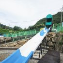 애견동반 밀양테마수영장