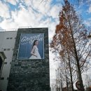 엘 컴퍼니(L. Company) 이미지