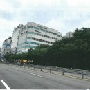 씨네샤르망1 이미지