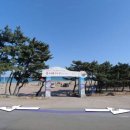 영덕해변축제 Daum카페
