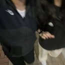 수리술술 이미지