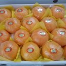 삼우농원 이미지